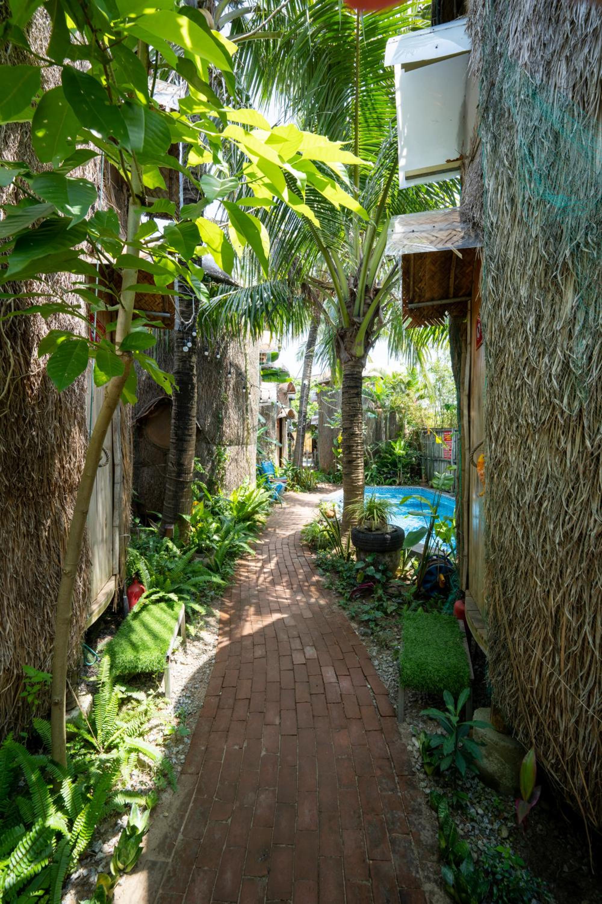 Cocohut Hoi An Homestay view 4