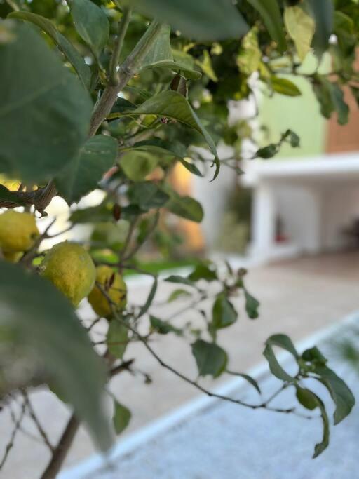 Cozy Peaceful Getaway: Book Now view 4
