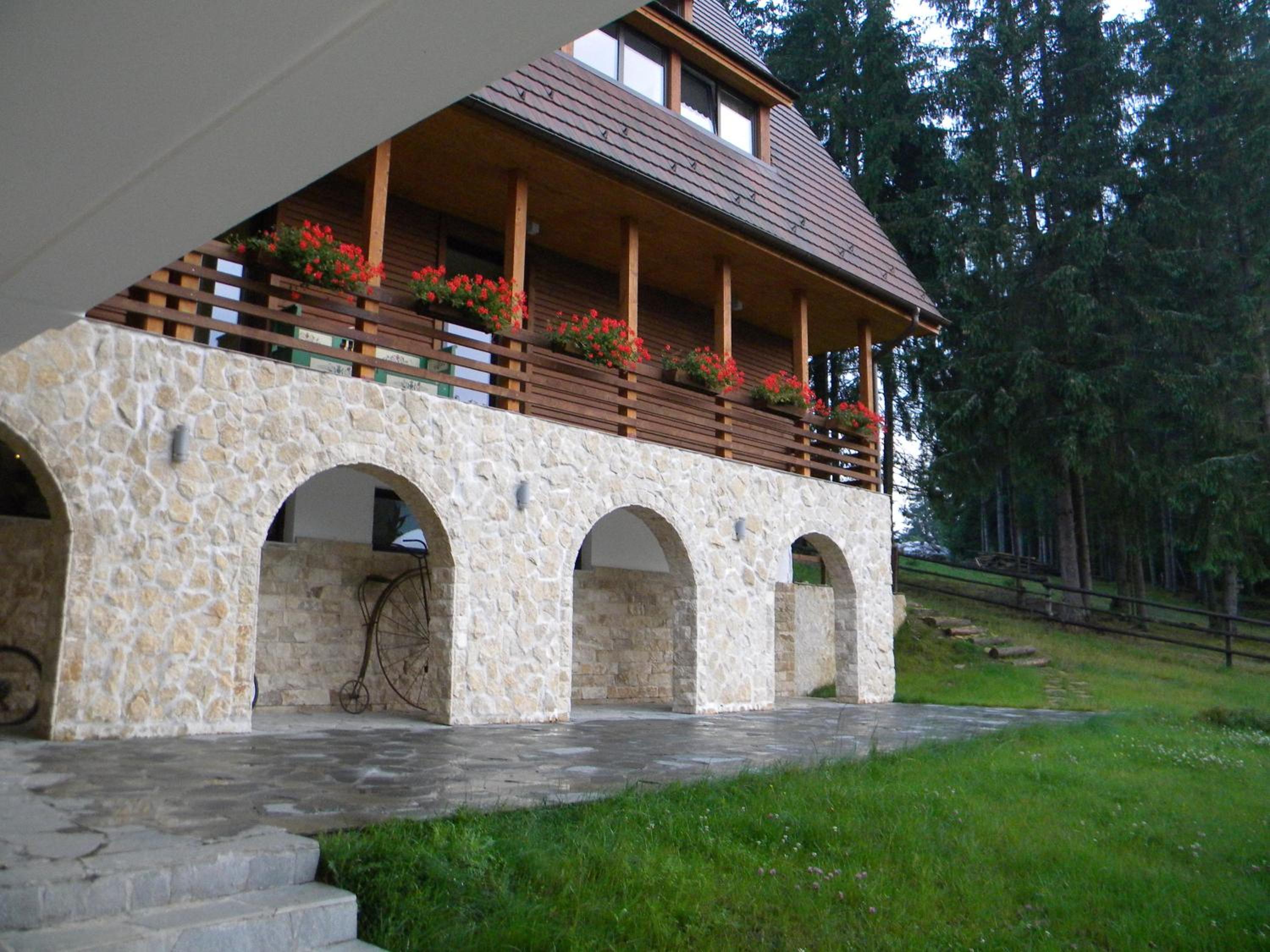 Photo 45