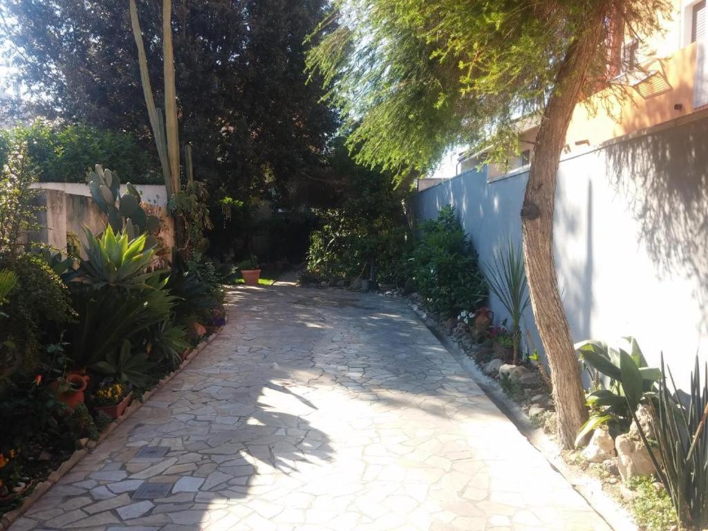 Cla House view 2