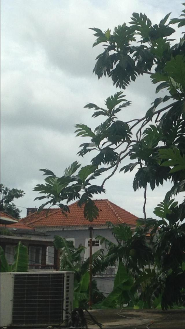 Casa de Ferias, photo 76