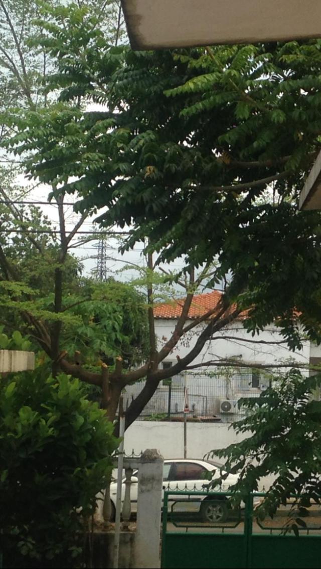 Casa de Ferias, photo 11