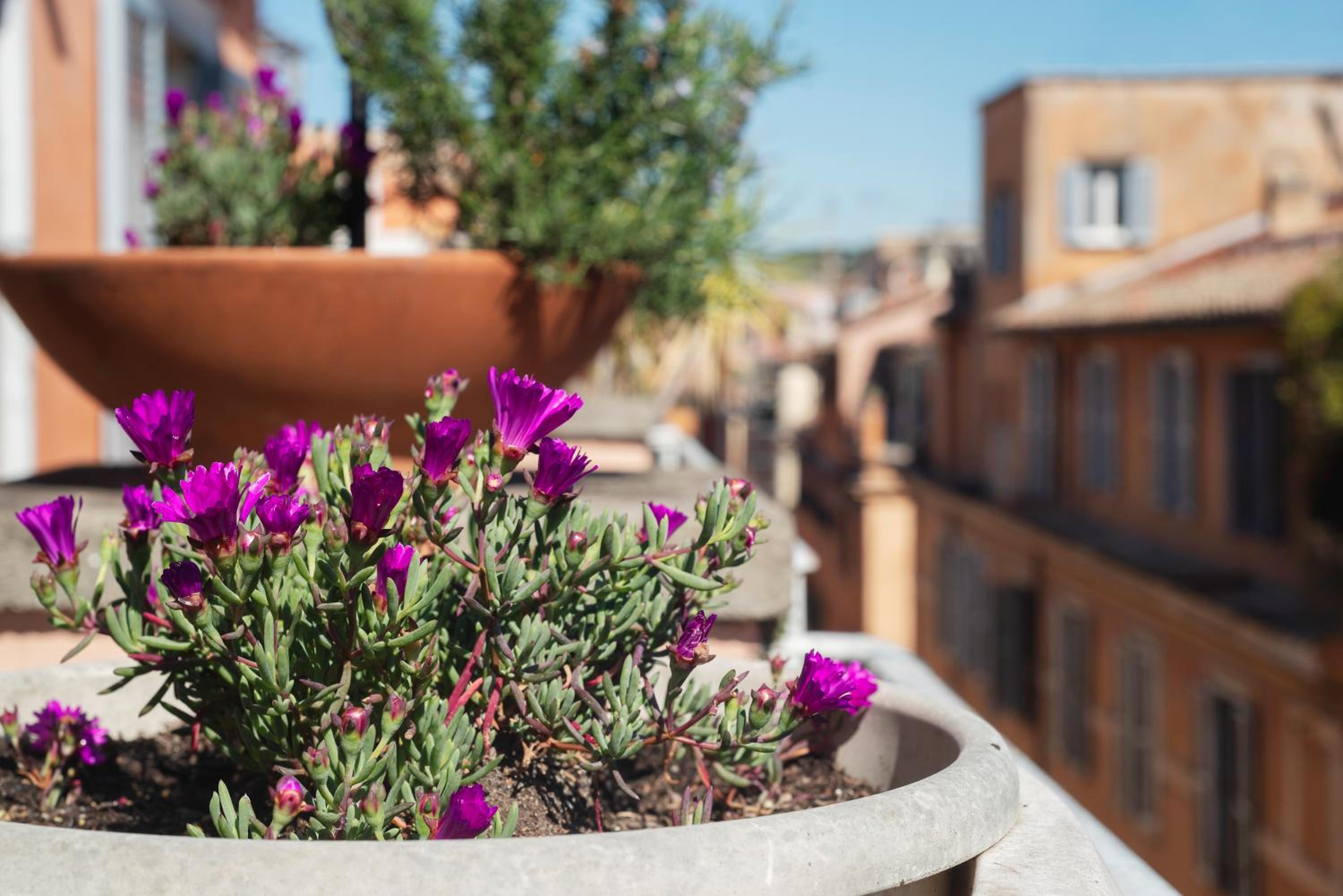 Spanish Steps Corner