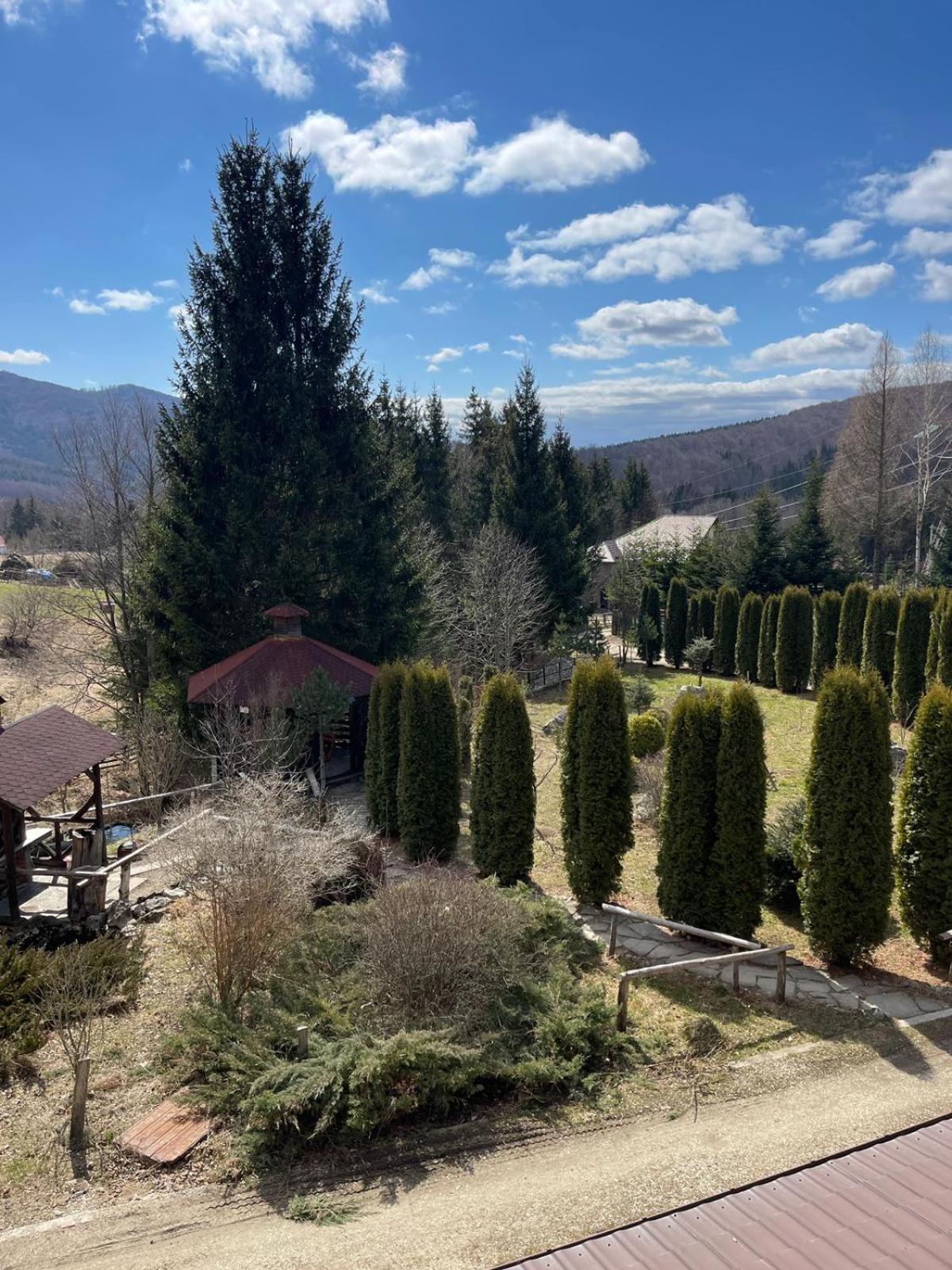 Cabana Perla Munților - Valea Doftanei view 3