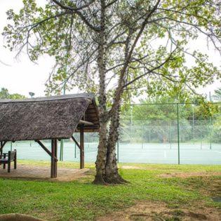 Hazyview Vacations - Kruger Park Lodge - Luxury Inyamatane Chalets - Property Image 10