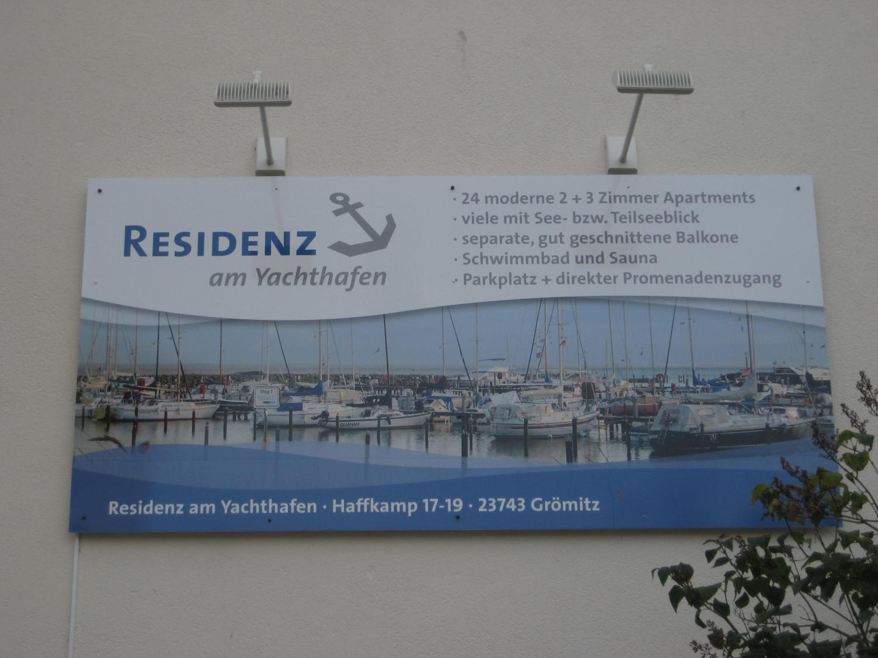 Seestern
