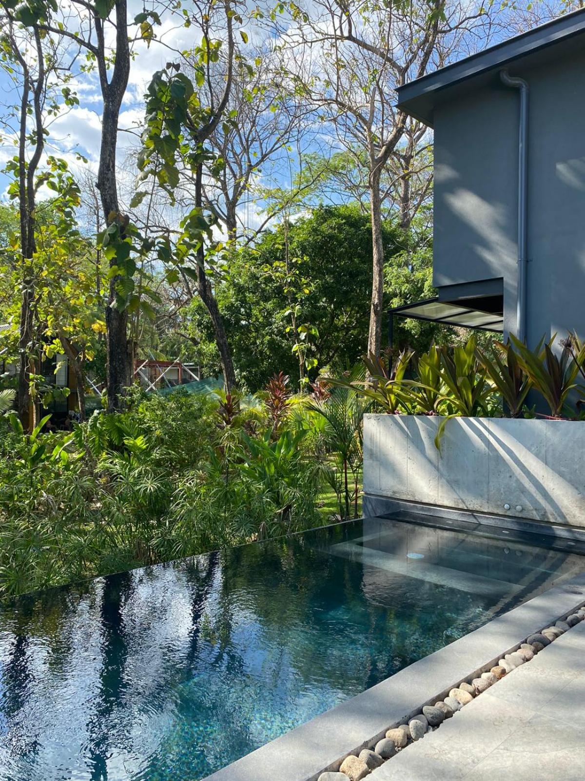 Studio Aloha - Malpais