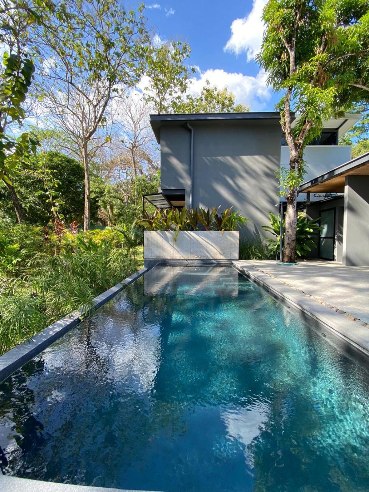 Studio Aloha - Malpais