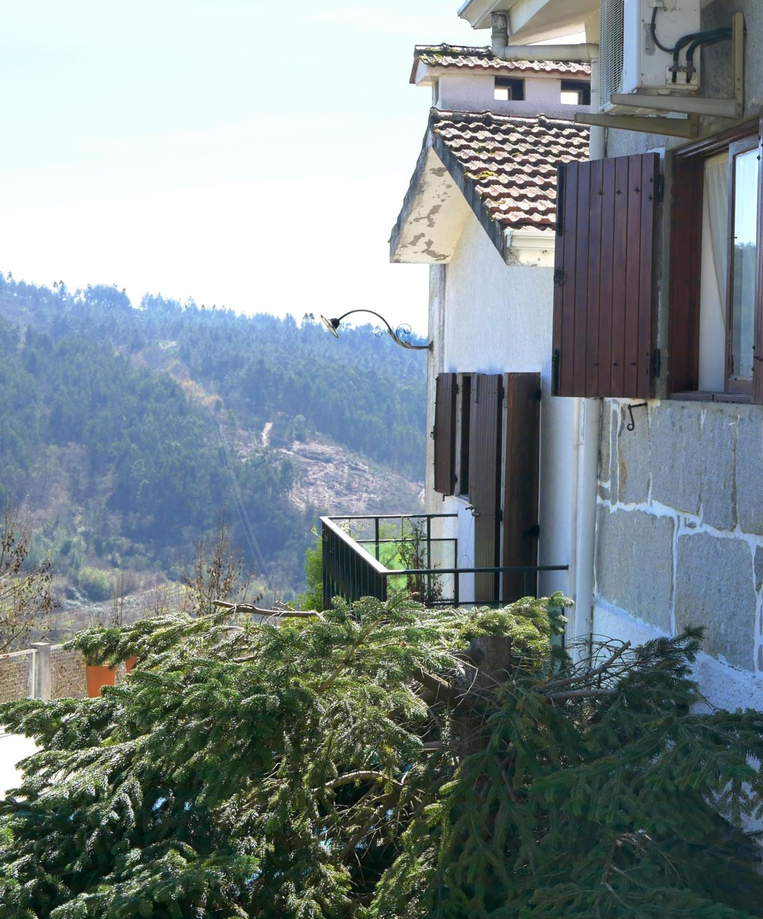 Photo 42