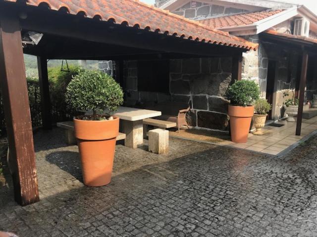 Casa do Abeto view 4