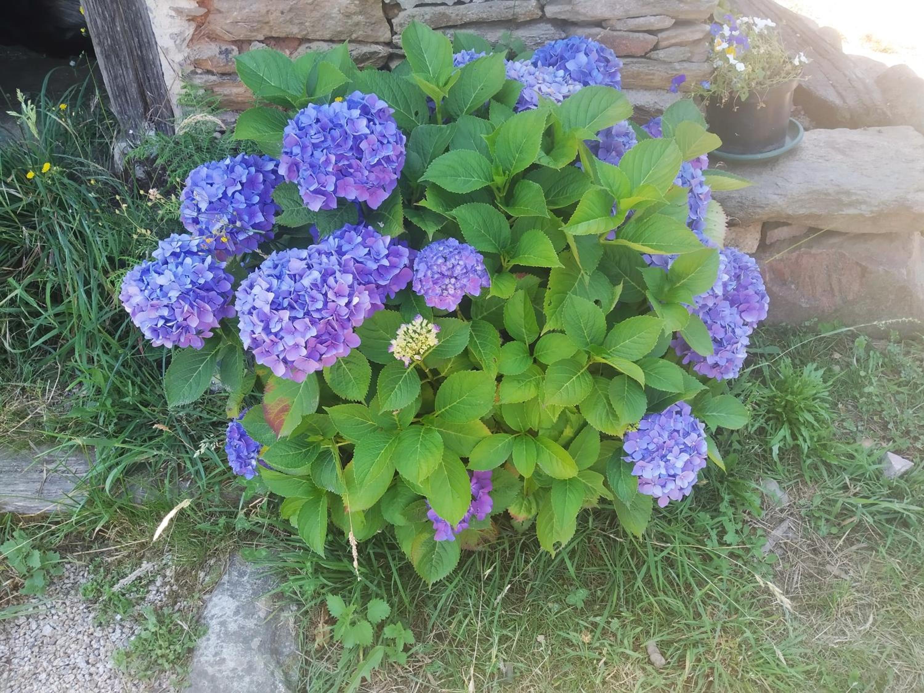 Photo 13