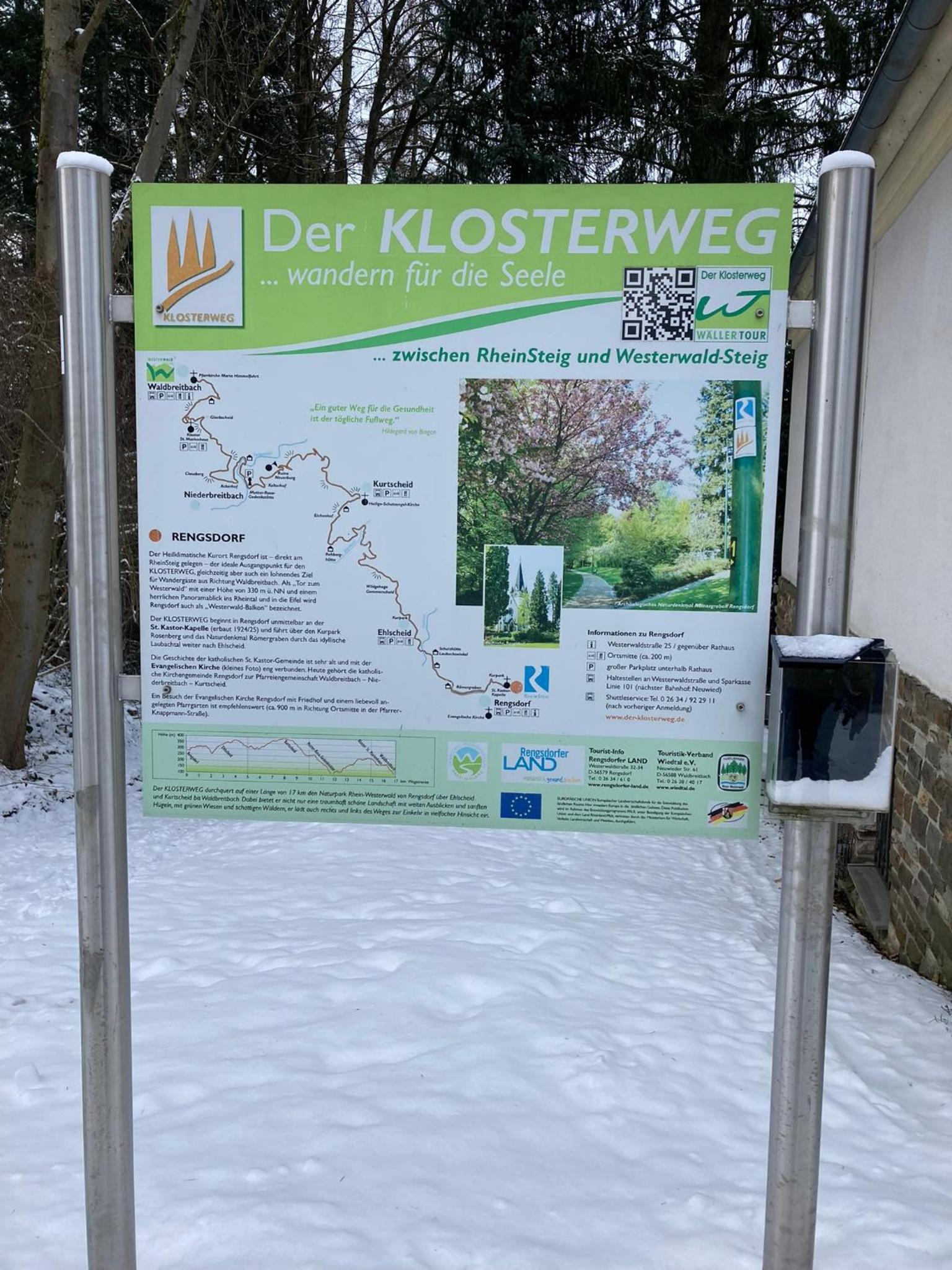 Rheintal-Wald-und Weitsicht