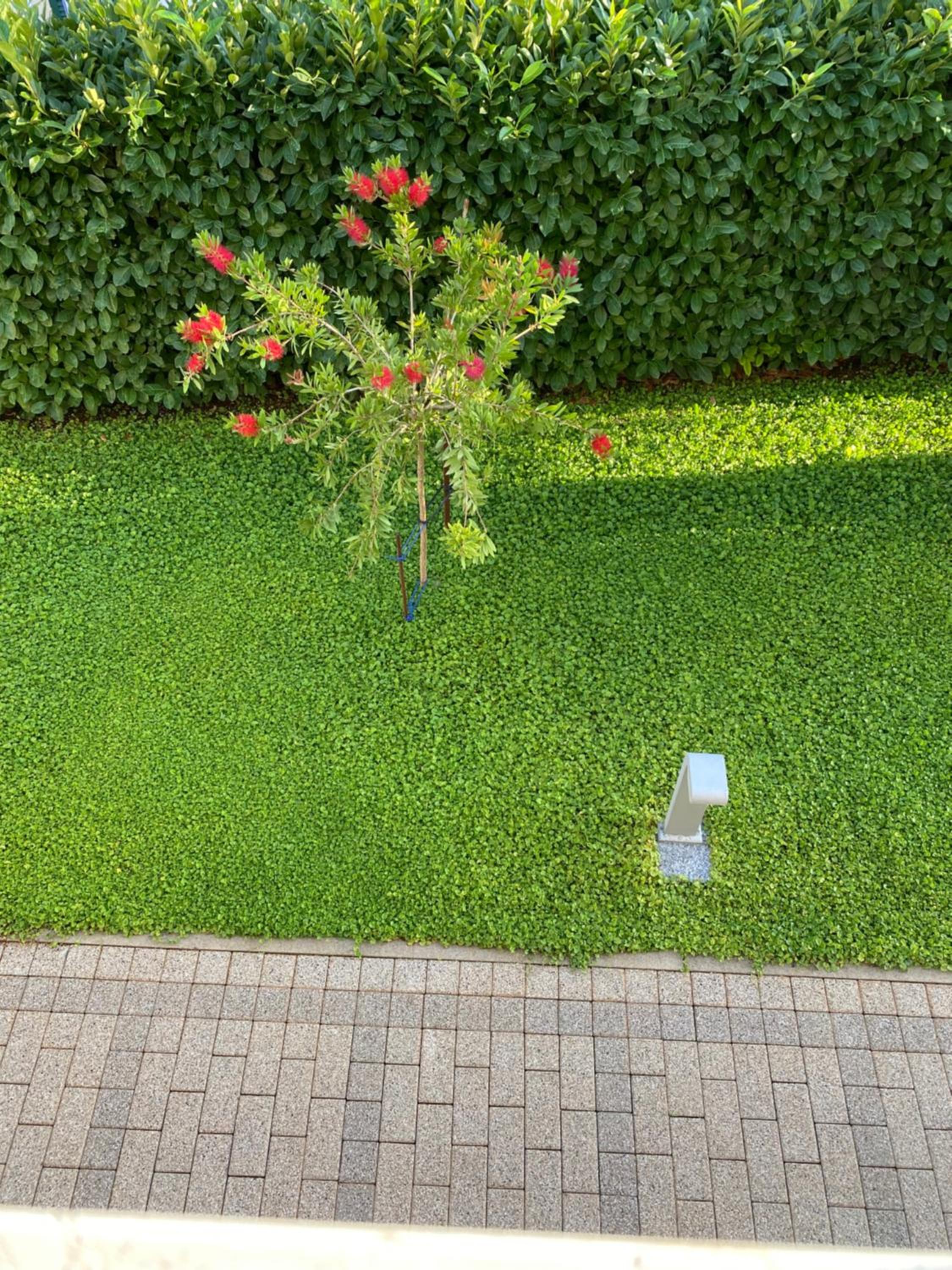 Photo 26