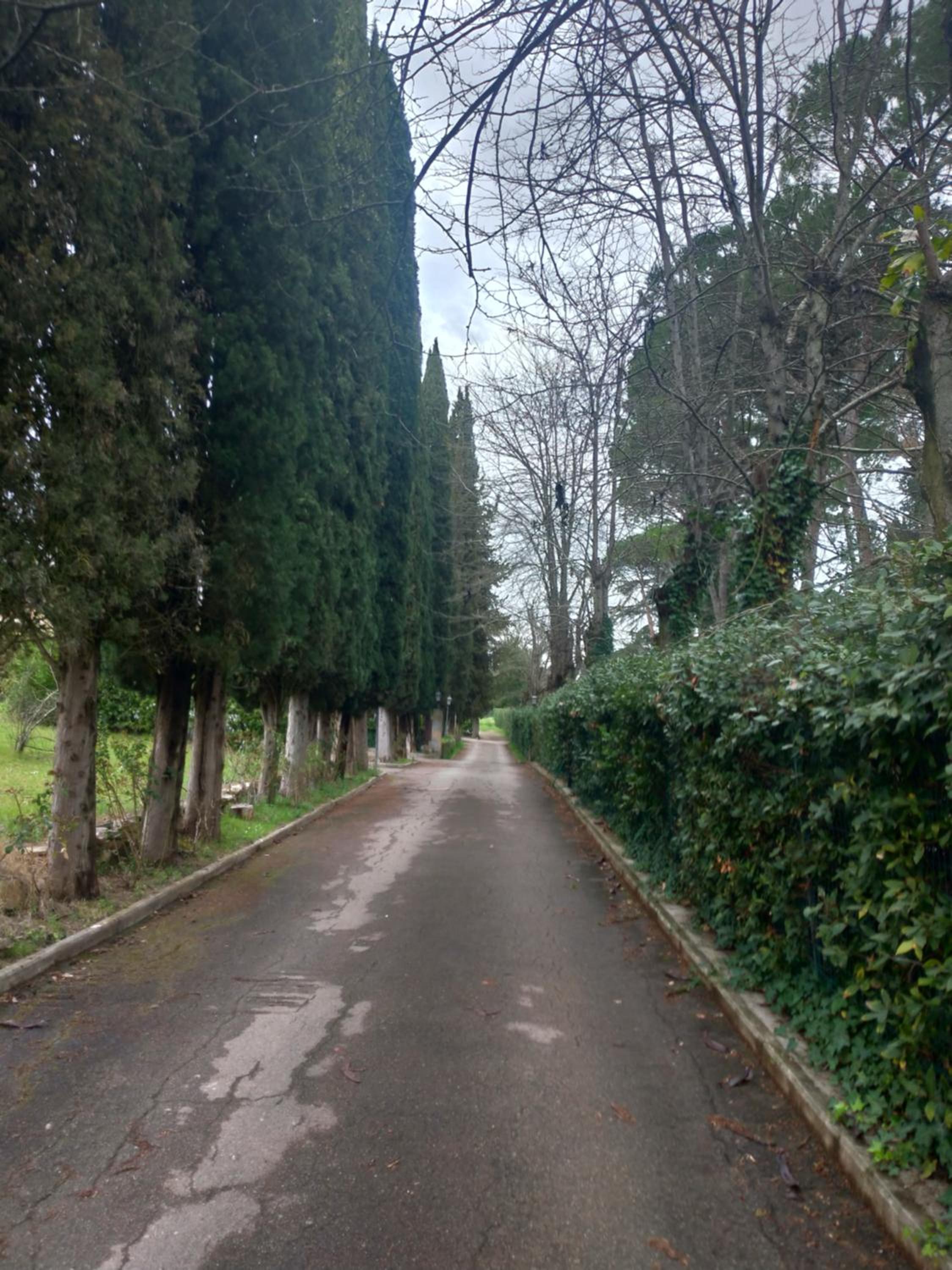 Poggio Gherardo