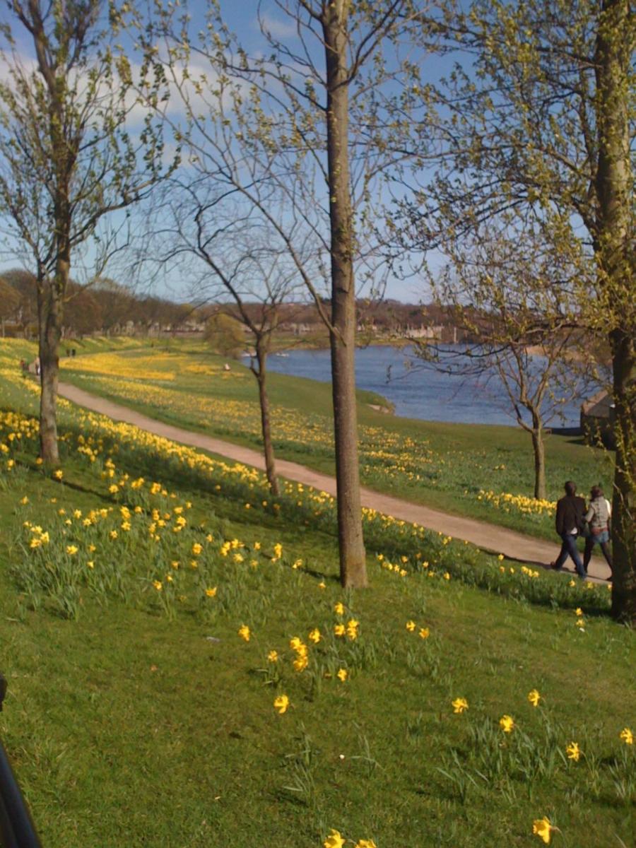 Marks At The Manor Luxury Riverside Apartments - Sleeps up to 4, with Parking and Sky TV