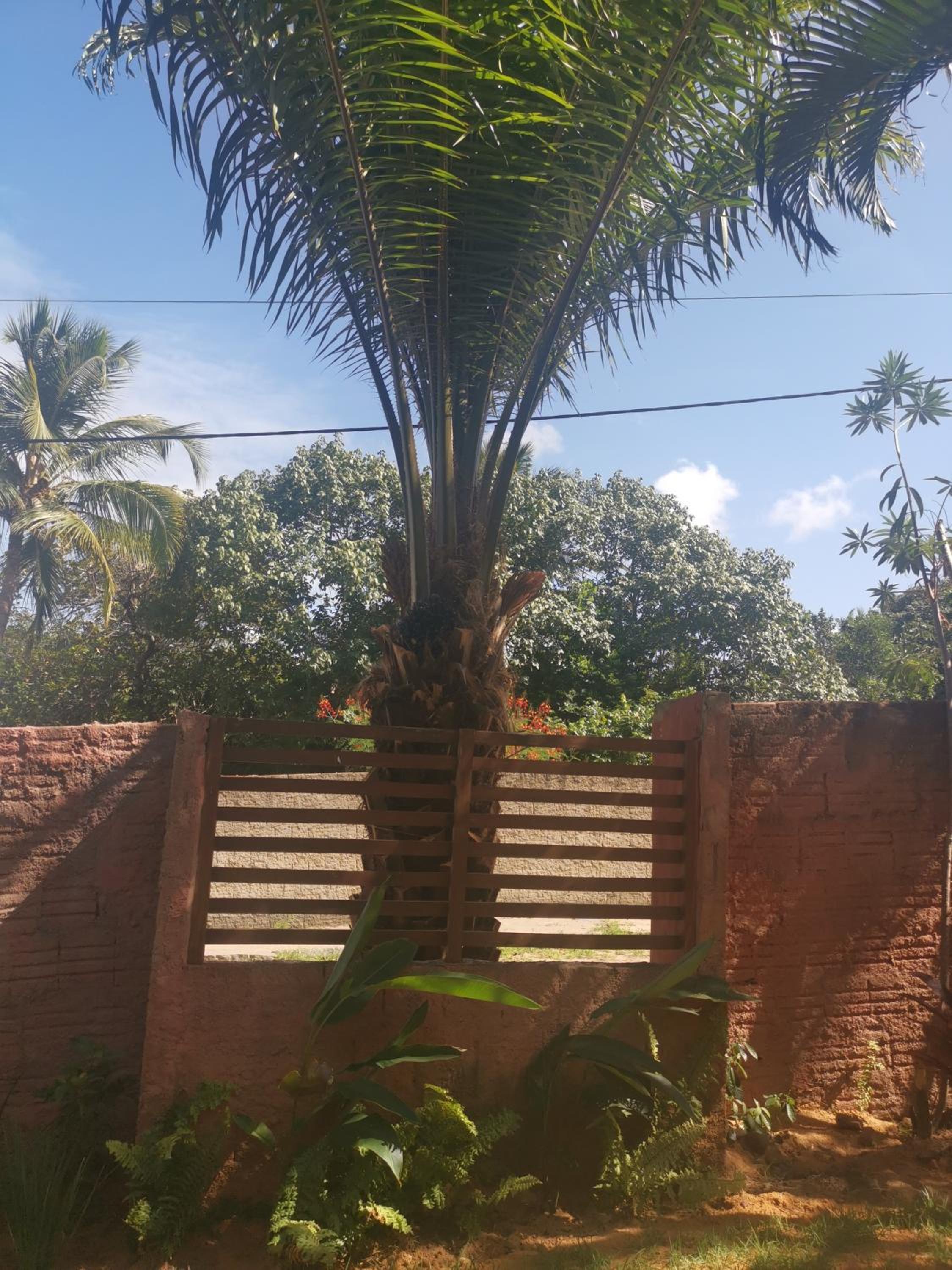 Casa Vermelha