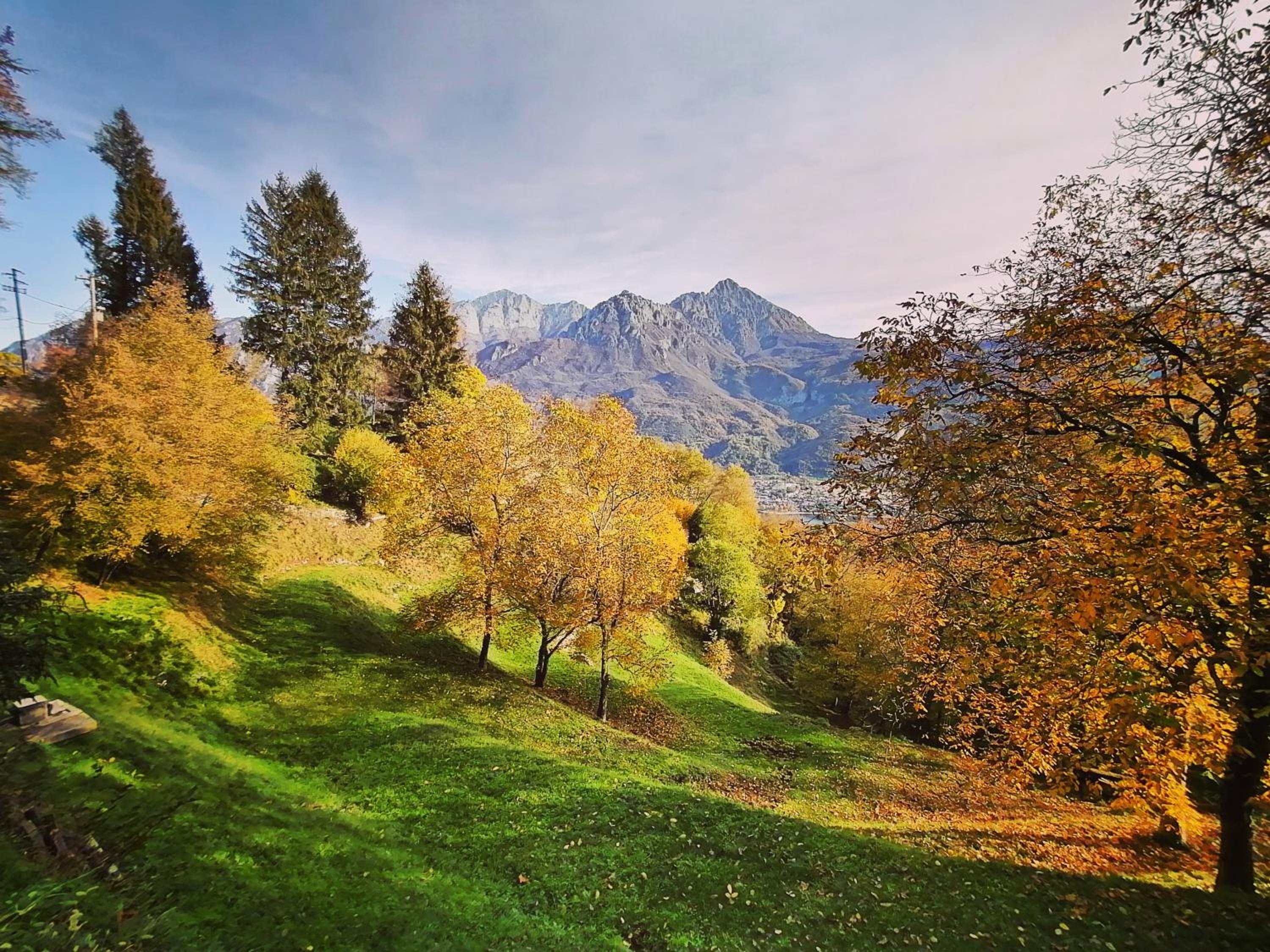 Narciso B&B Valbrona photo 3