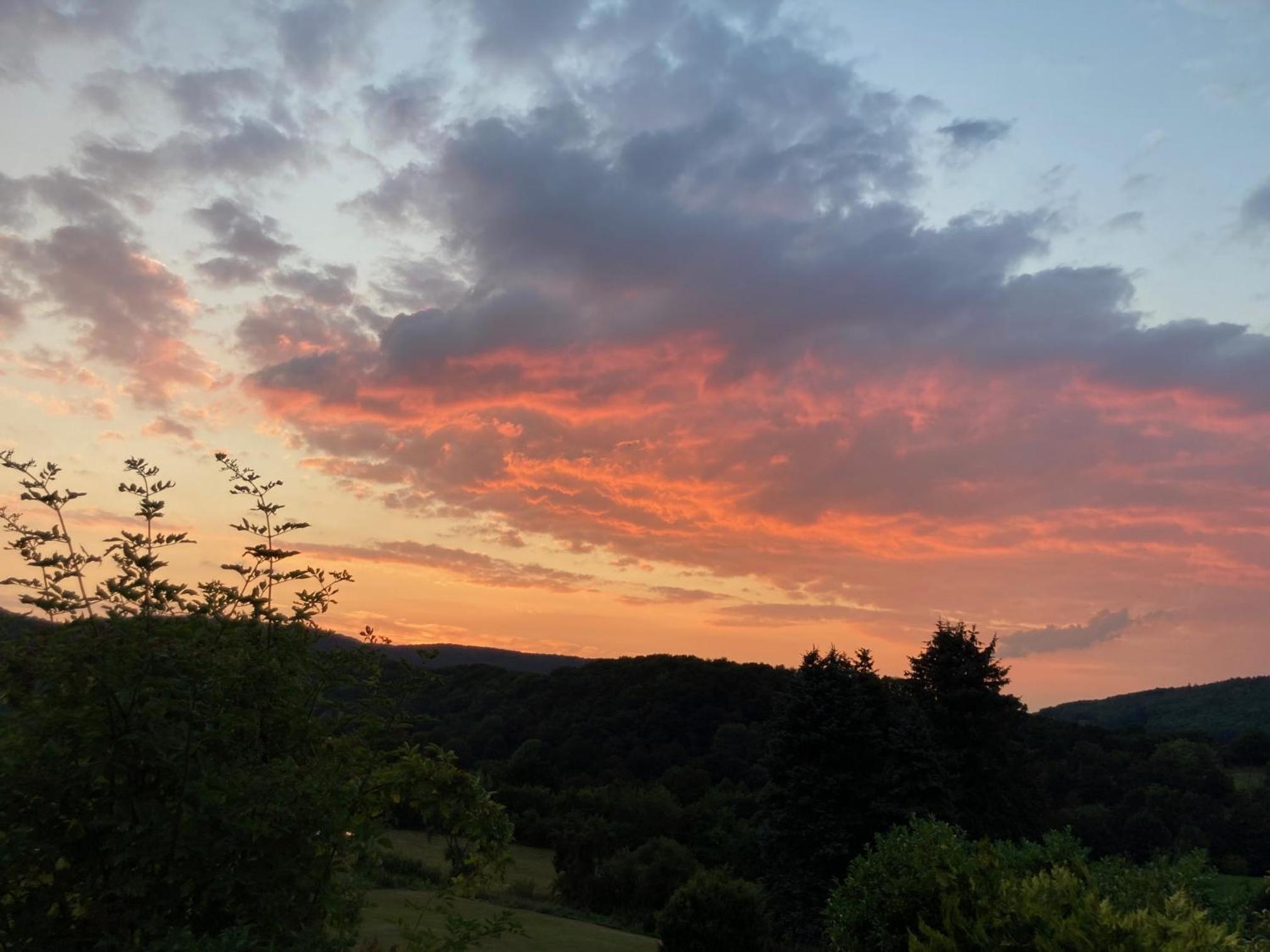 Ferienhaus EifelOne - Panorama