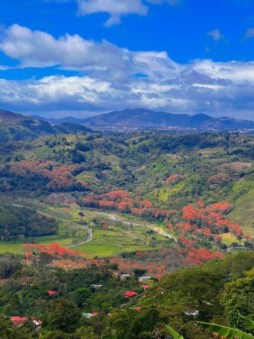 Orosi Mountain Lodge