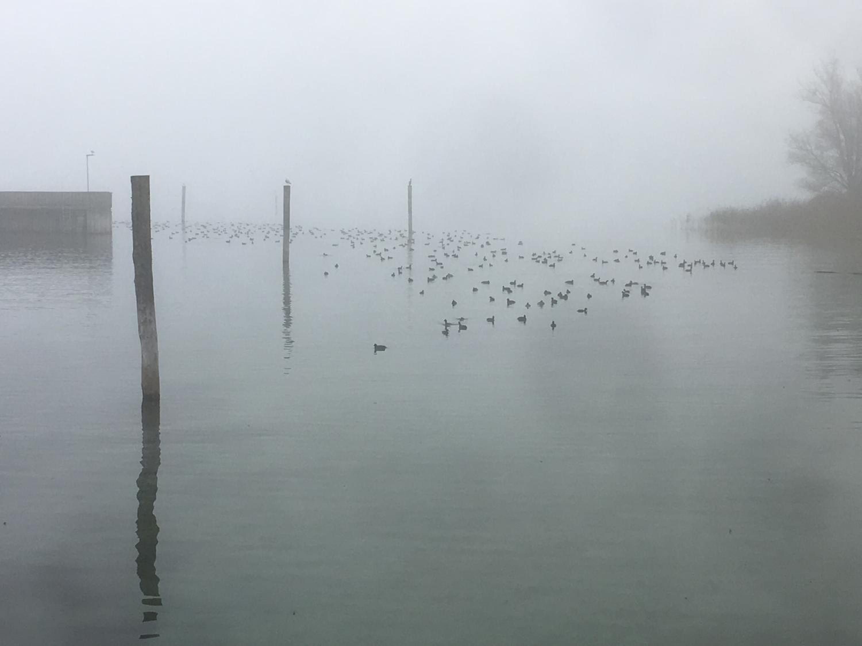 Zwischen Hafen und Strandbad