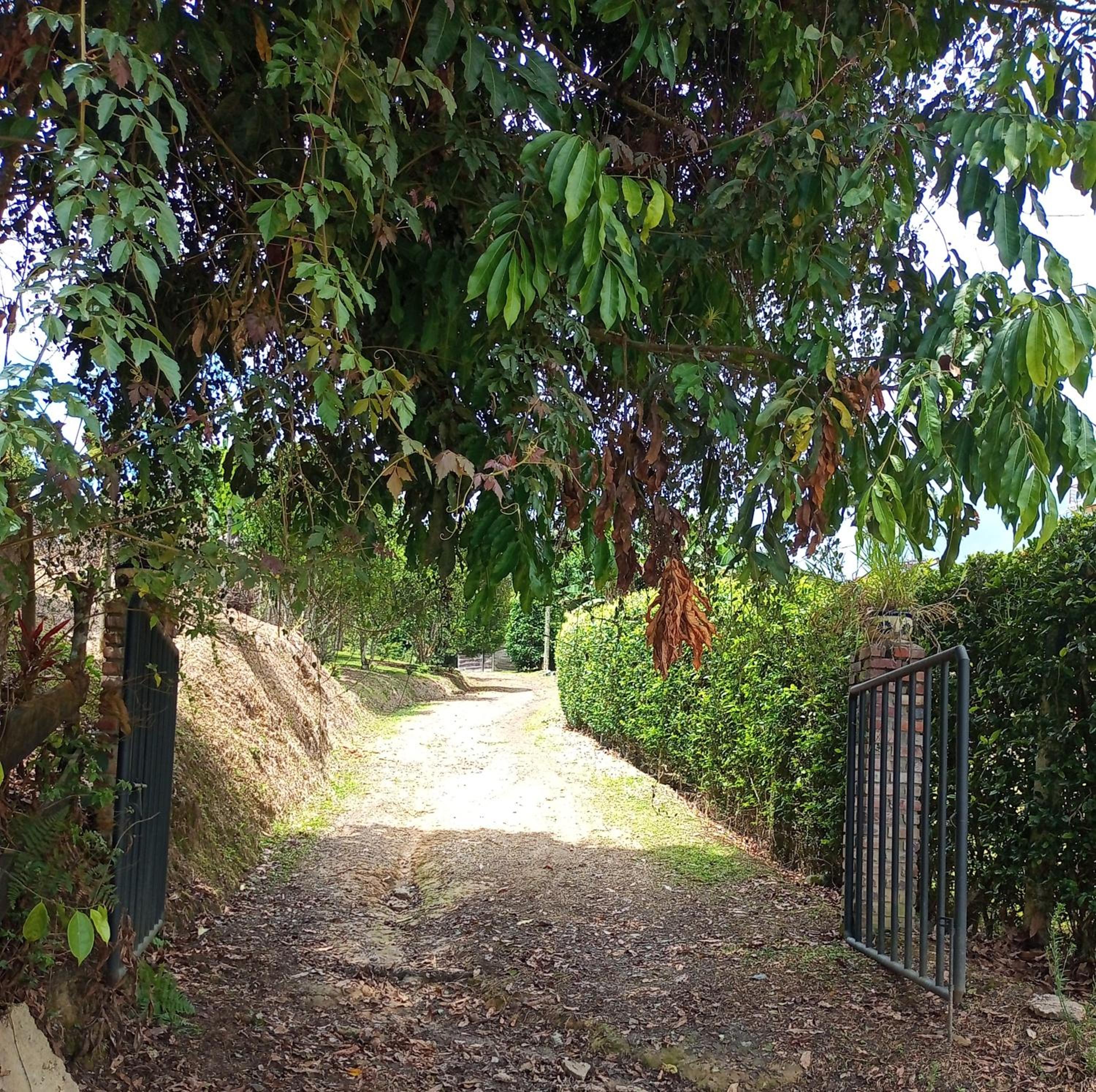 Eco-Cabanas Altozano Nimaima - Property Image 54