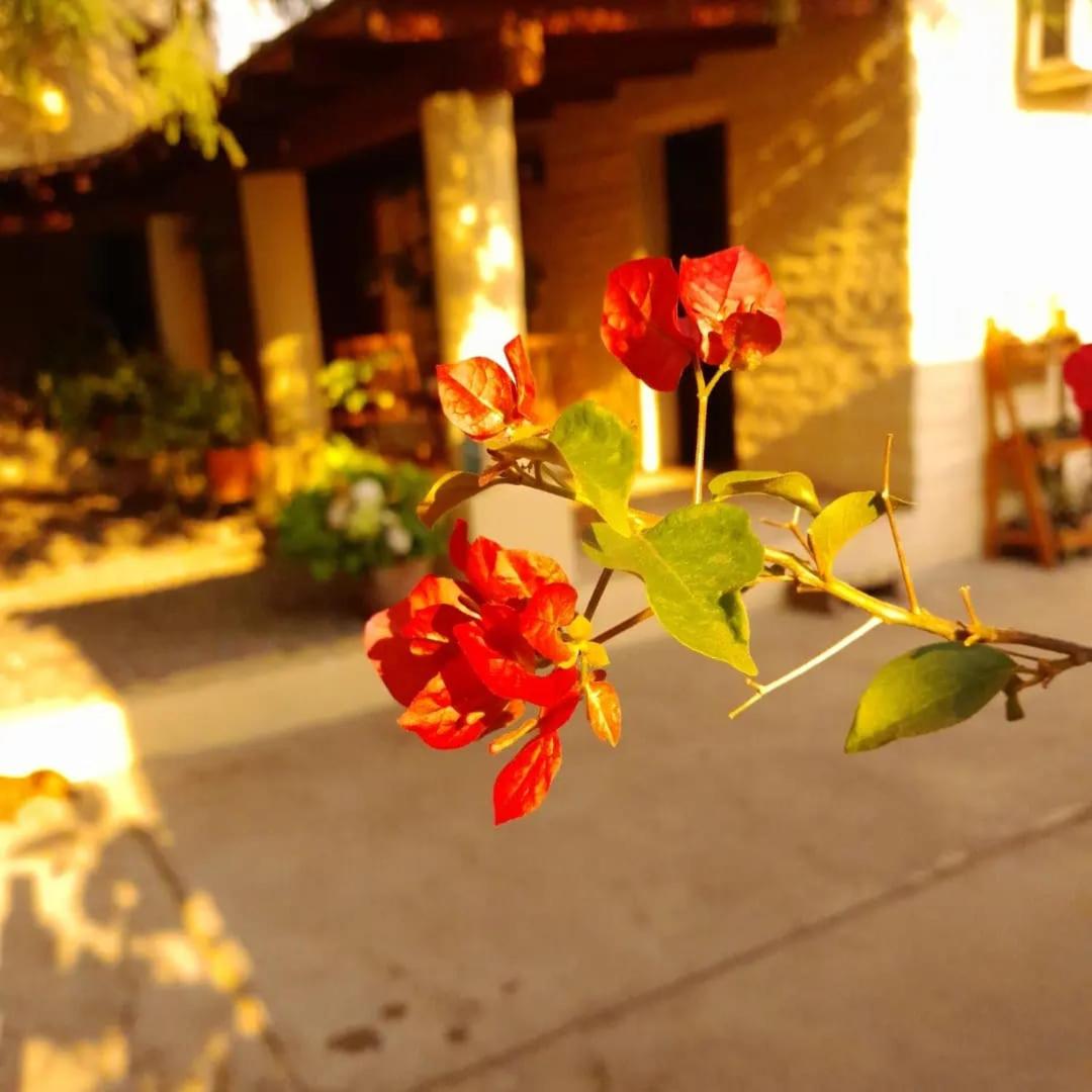 La Montaña B&B
