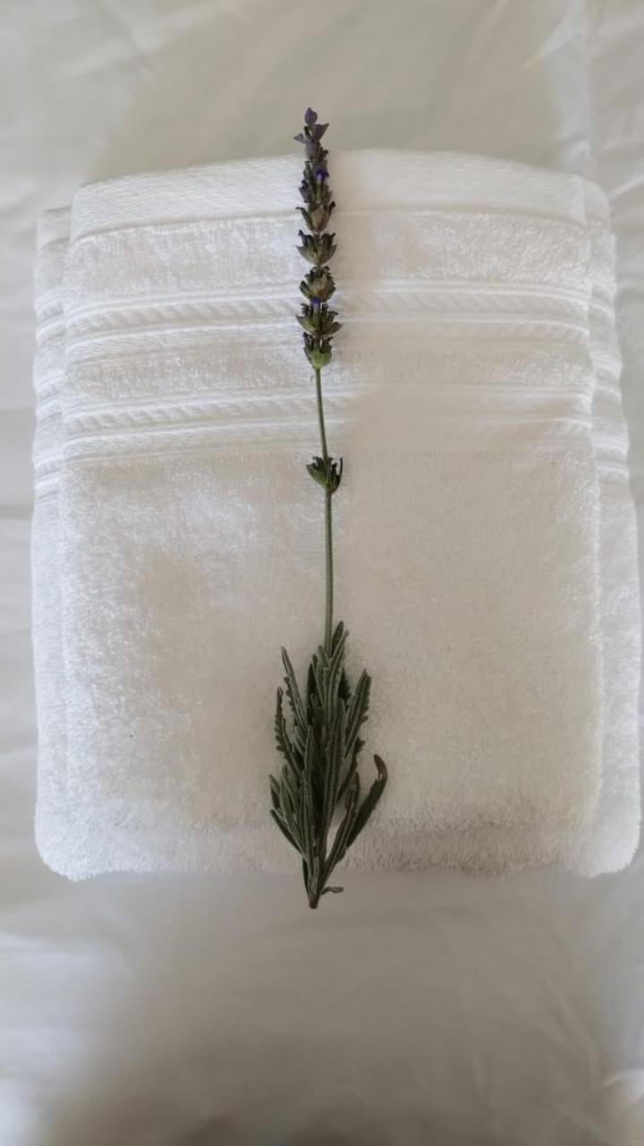 La Flor del Camino Posada