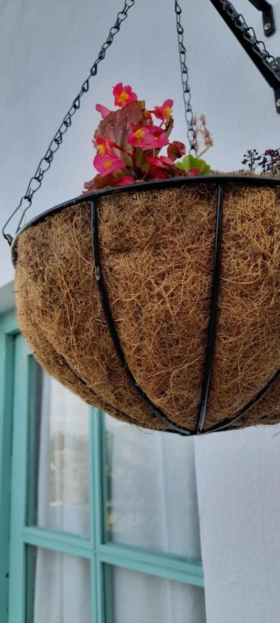La Flor del Camino Posada