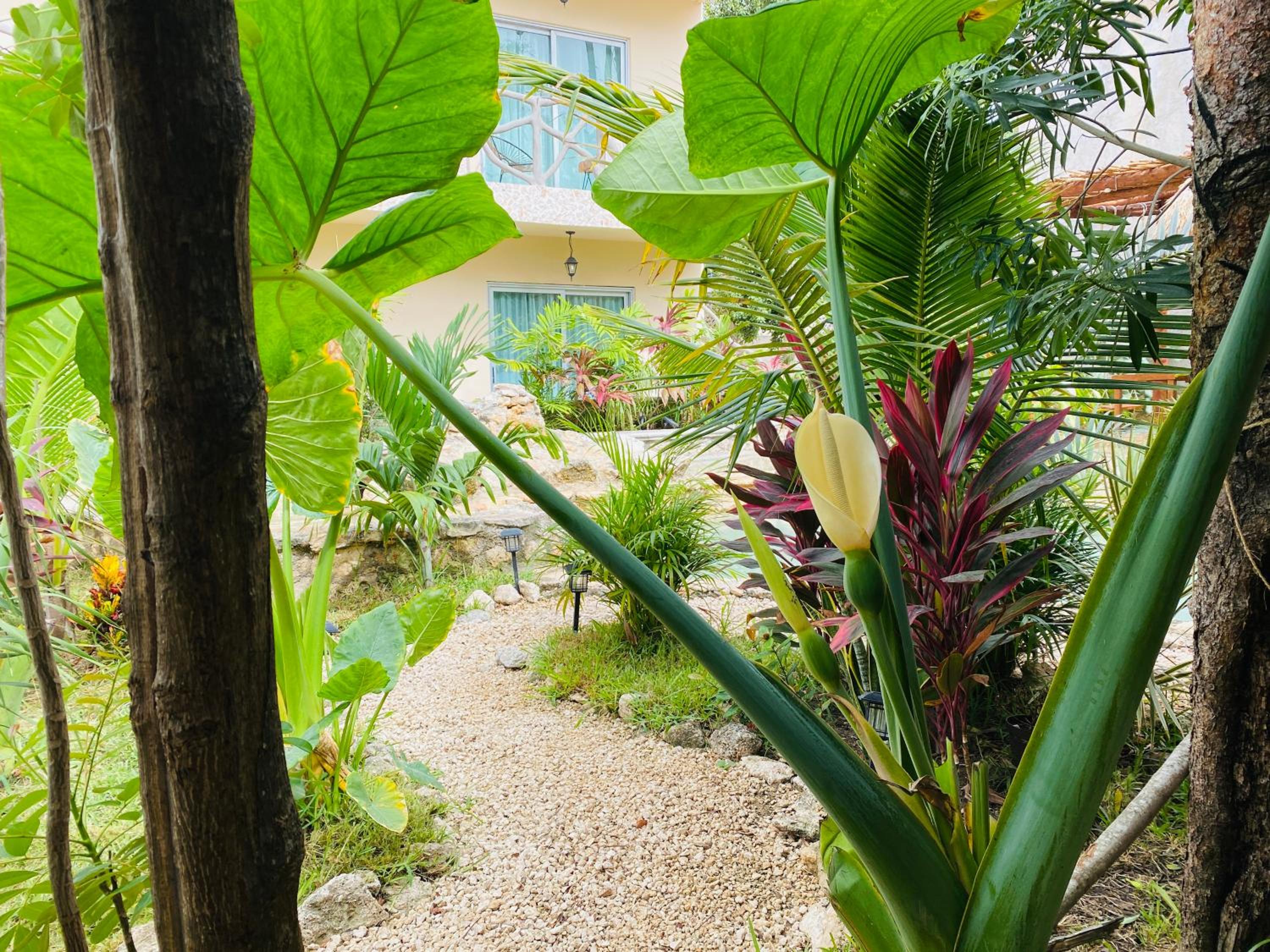 Photo 46
