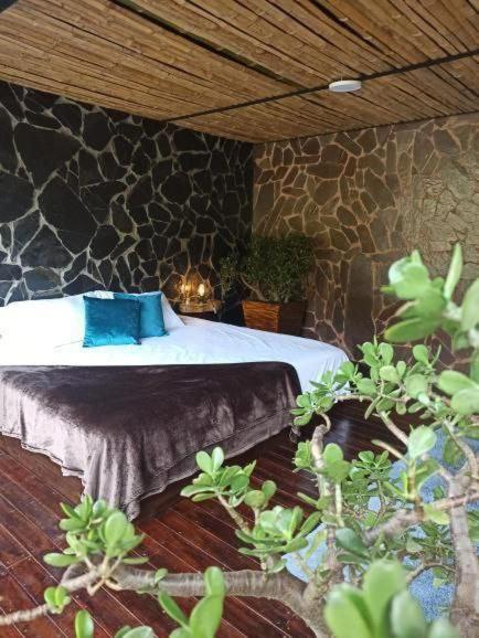 Glamping Salento