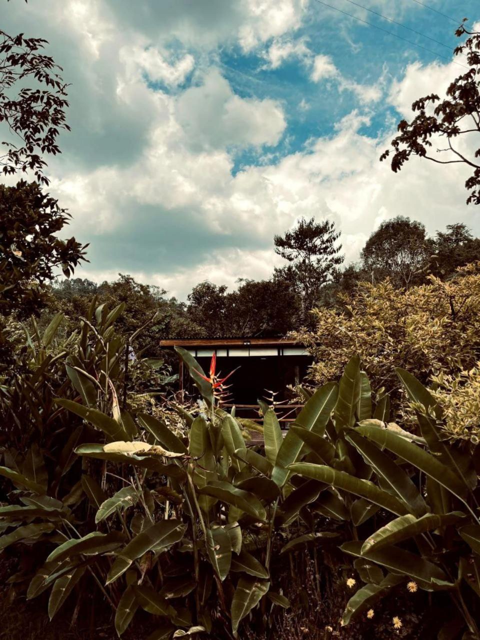 Glamping Salento