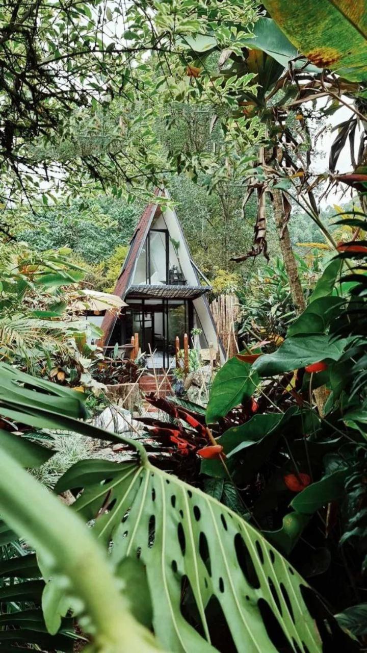 Glamping Salento