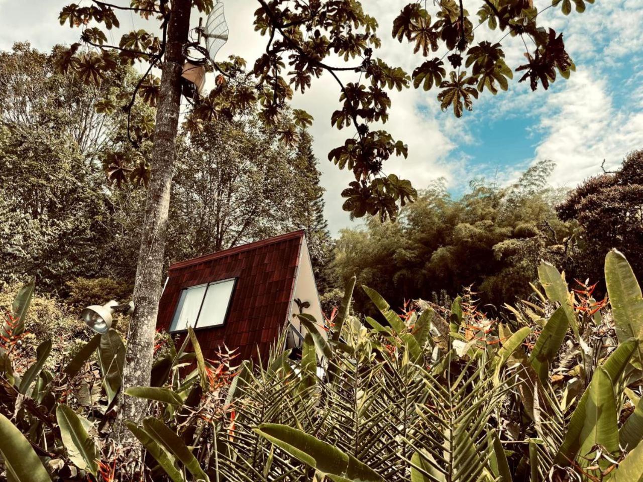 Glamping Salento