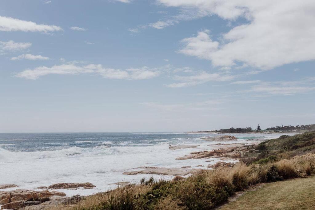 OceanFront - Absolute Waterfront