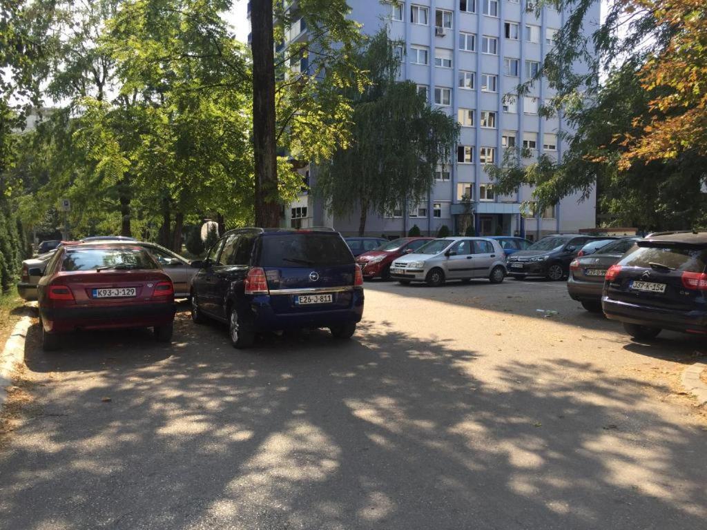 Apartment Palas