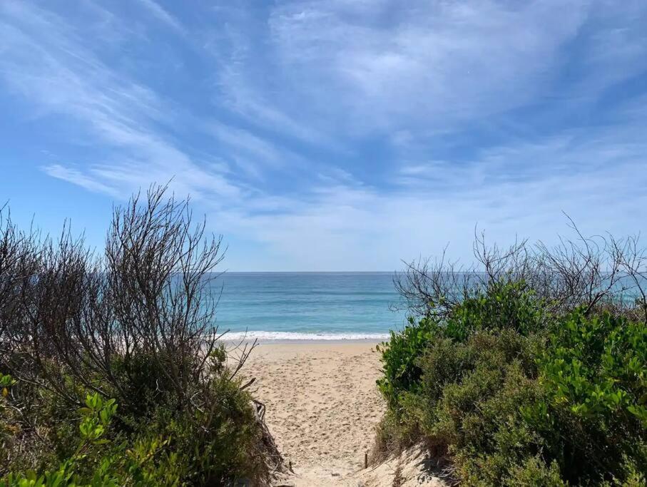Moonbird Beach Shack ~ Ocean Escape