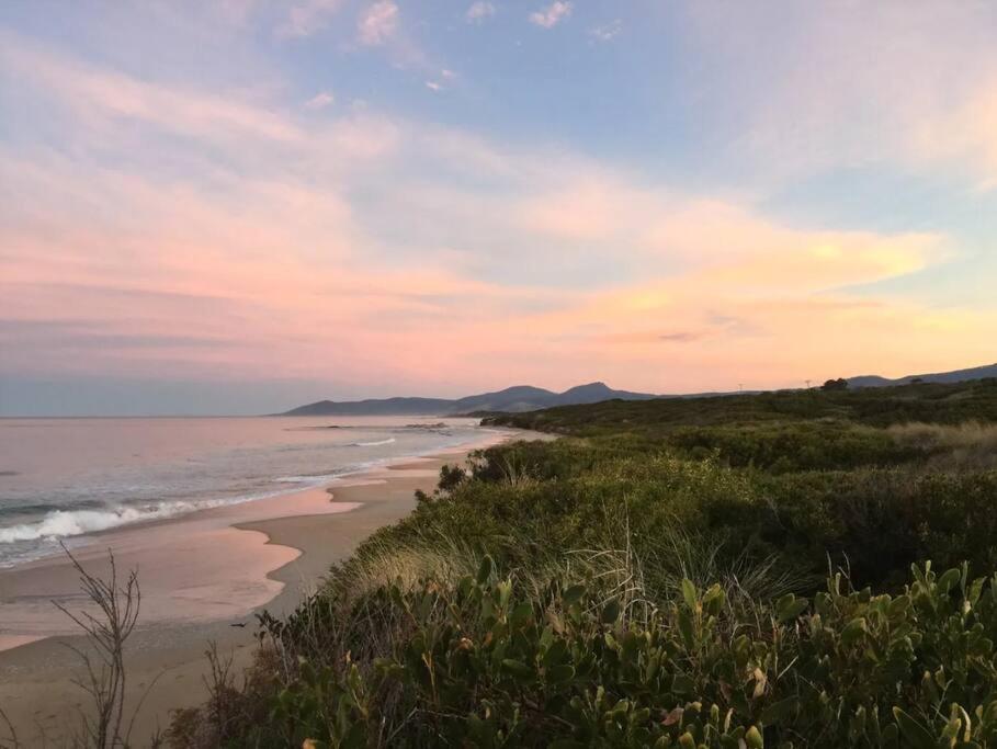Moonbird Beach Shack ~ Ocean Escape