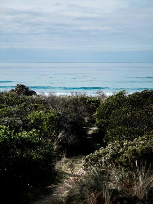 Moonbird Beach Shack ~ Ocean Escape