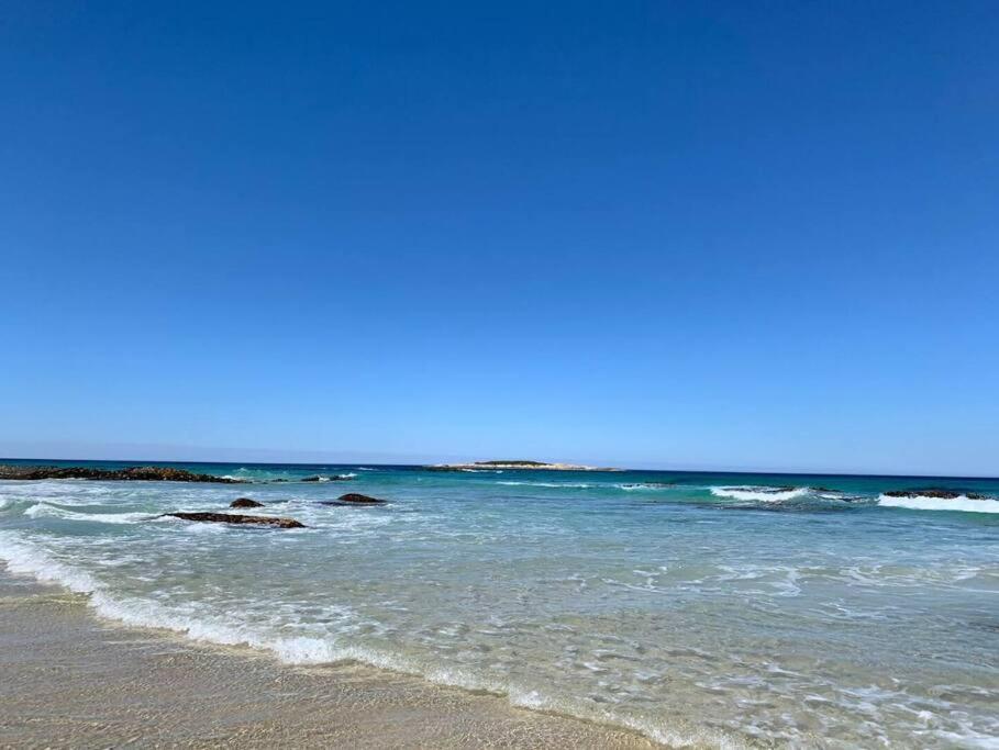 Moonbird Beach Shack ~ Ocean Escape