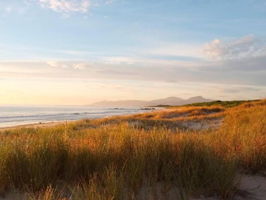 Moonbird Beach Shack ~ Ocean Escape