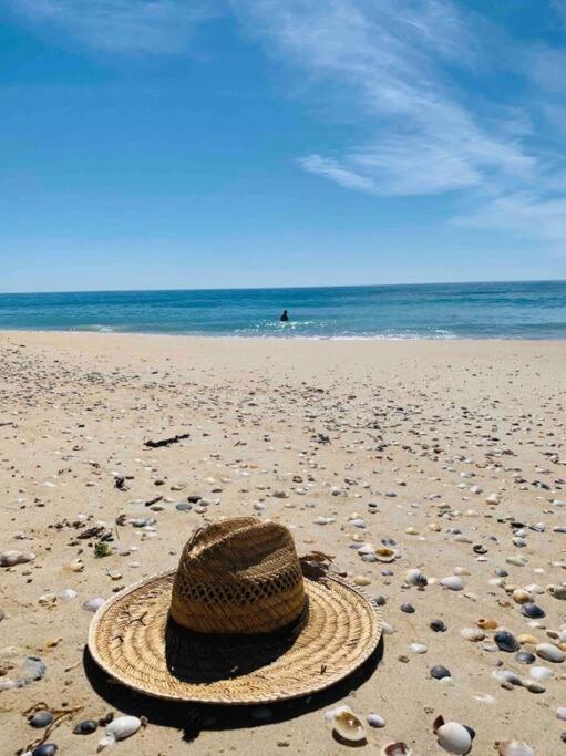 Moonbird Beach Shack ~ Ocean Escape
