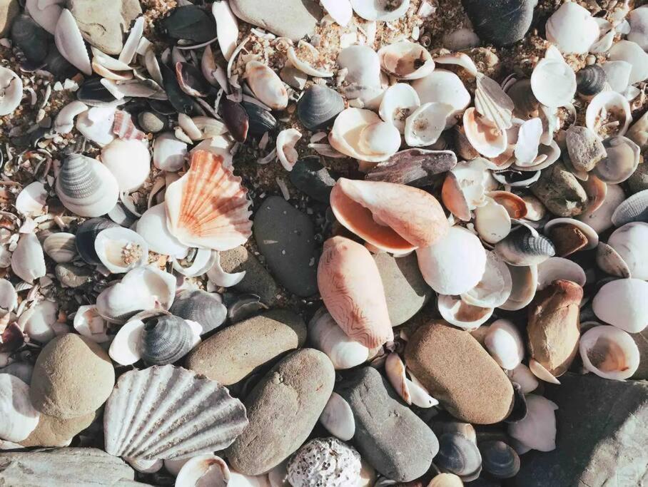 Moonbird Beach Shack ~ Ocean Escape