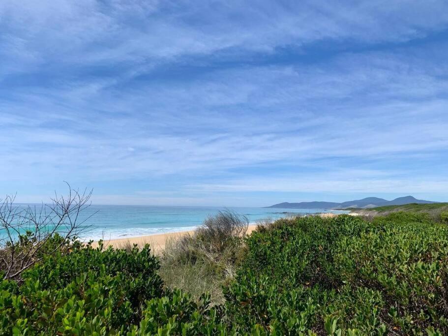 Moonbird Beach Shack ~ Ocean Escape