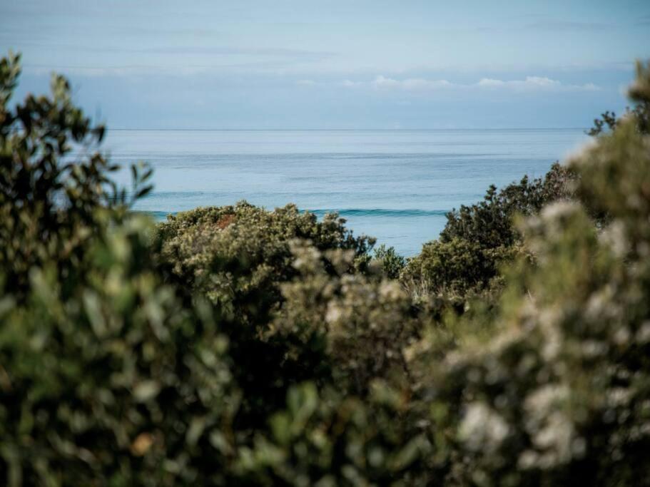 Moonbird Beach Shack ~ Ocean Escape
