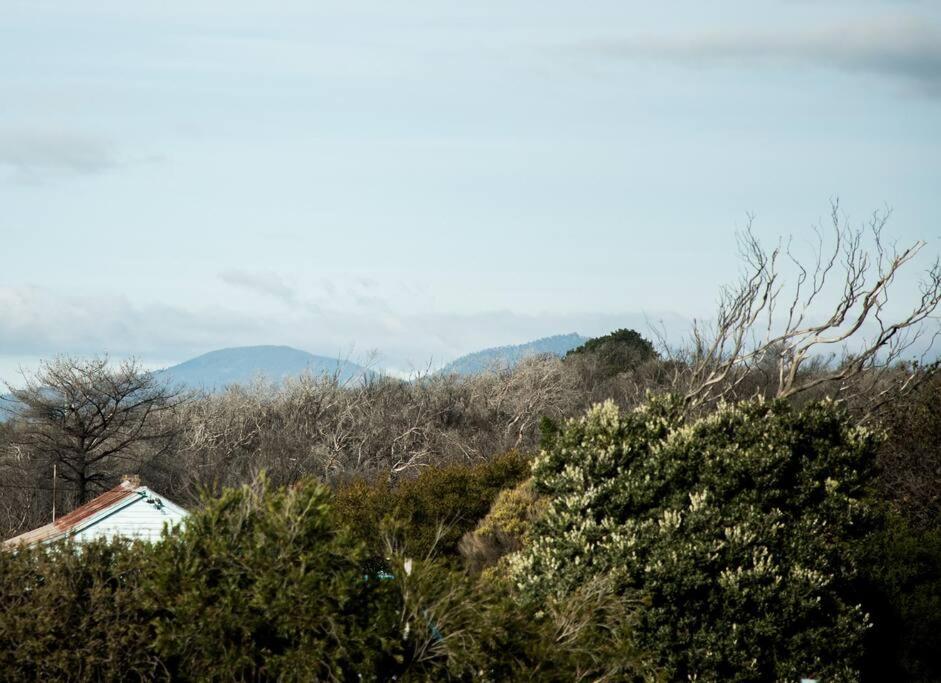 Moonbird Beach Shack ~ Ocean Escape