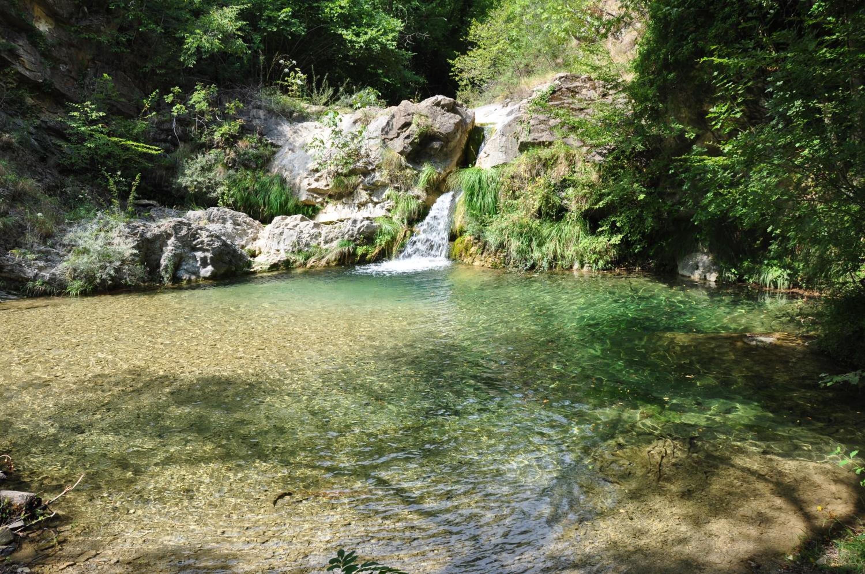 Photo 42