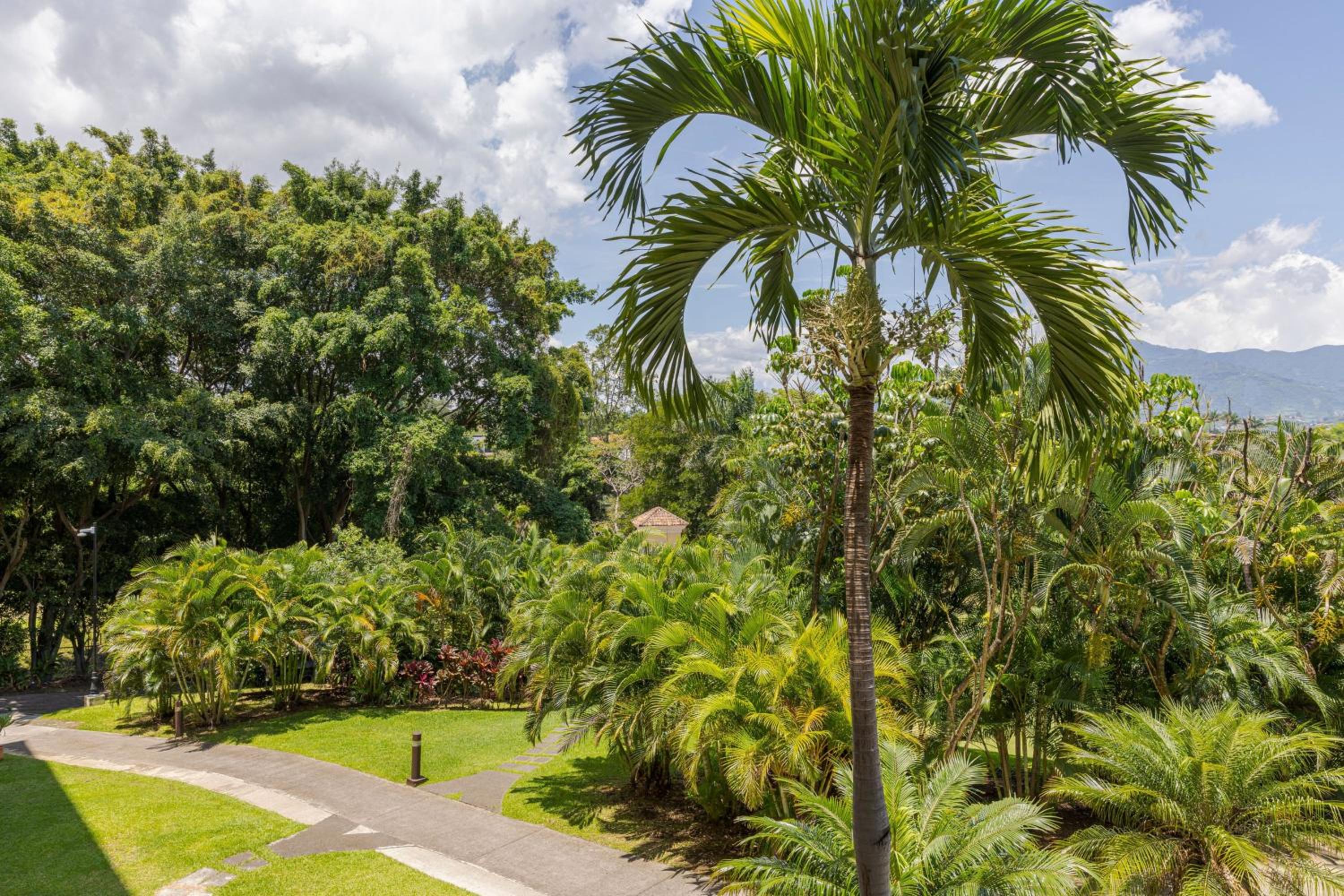 Costa Rica Marriott Hotel Hacienda Belen - Property Image 48