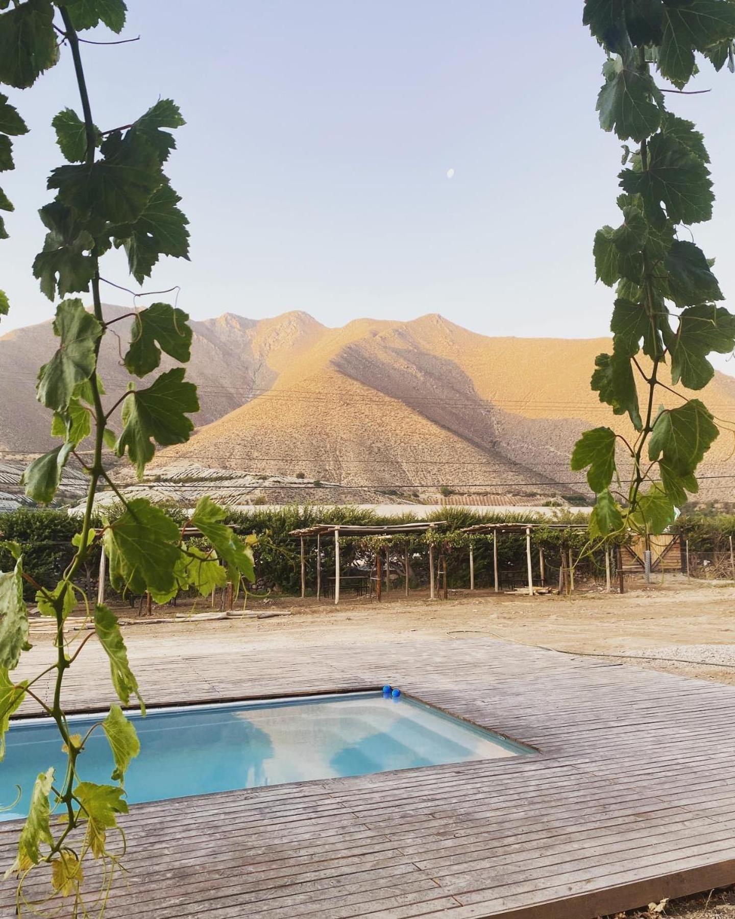 Glamping Viñas de Elqui