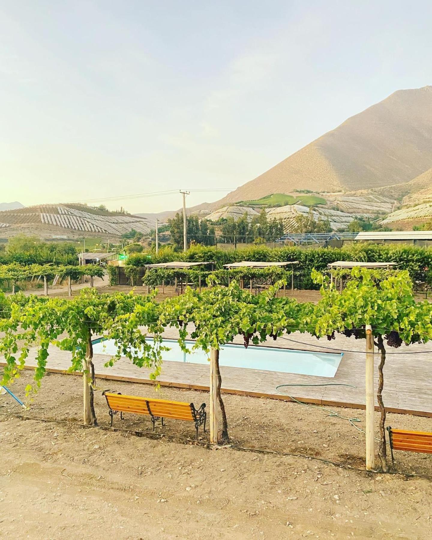 Glamping Viñas de Elqui