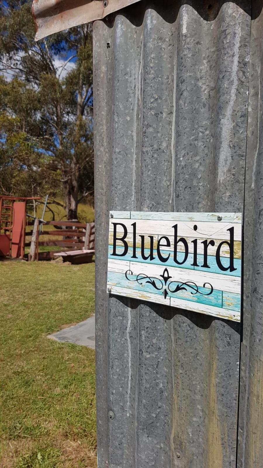 Tiny Home - Bluebird